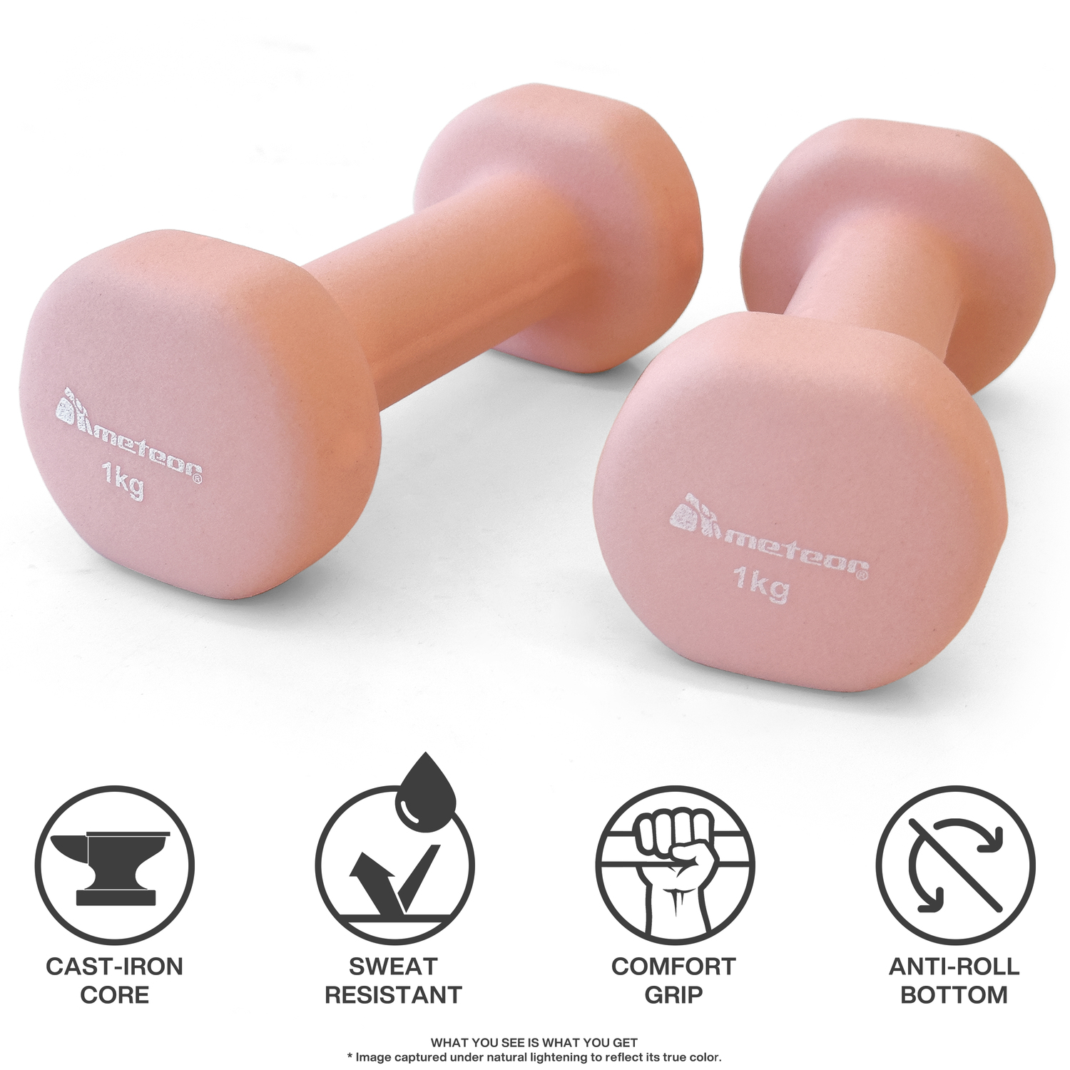 METEOR Anti-Slip Dumbbell-Dumbbell Set-Weightlifting-Barbell-Gym Weights - Picture 18 of 104
