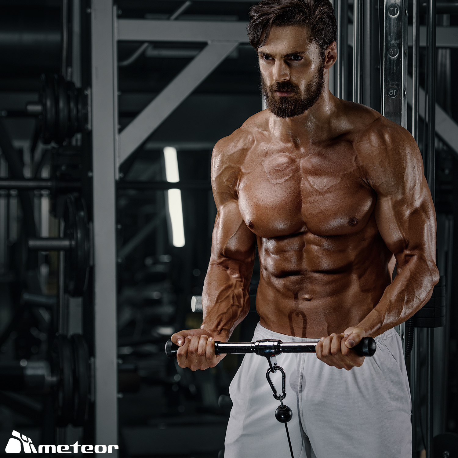 METEOR Cable Pulley Attachment Tricep Rope V Grip LAT Pull Down Gym Accessory - Picture 71 of 122