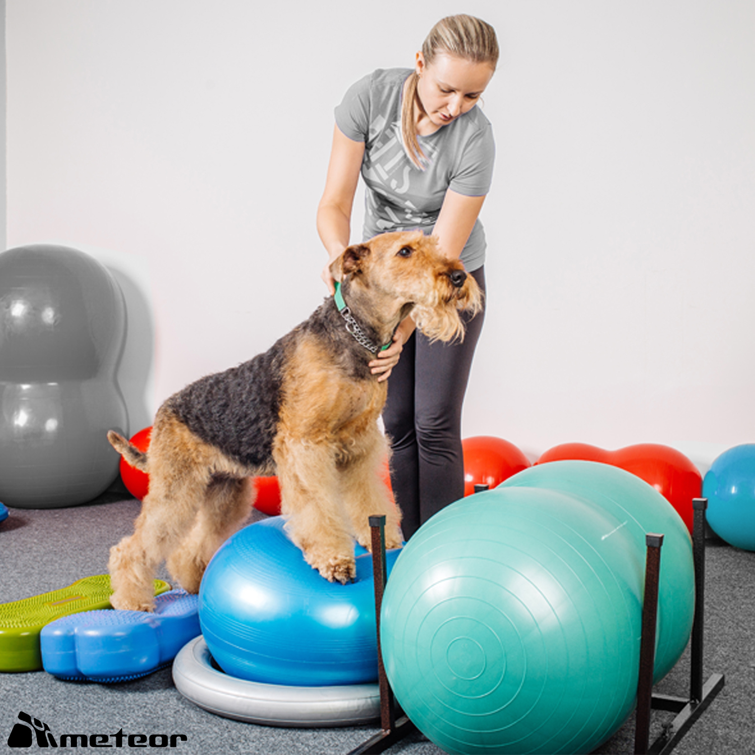 METEOR Anti-Burst Peanut Ball-Yoga Ball-Gym Ball-Swiss Ball-Pet-Kids-Birth Ball - Picture 44 of 56