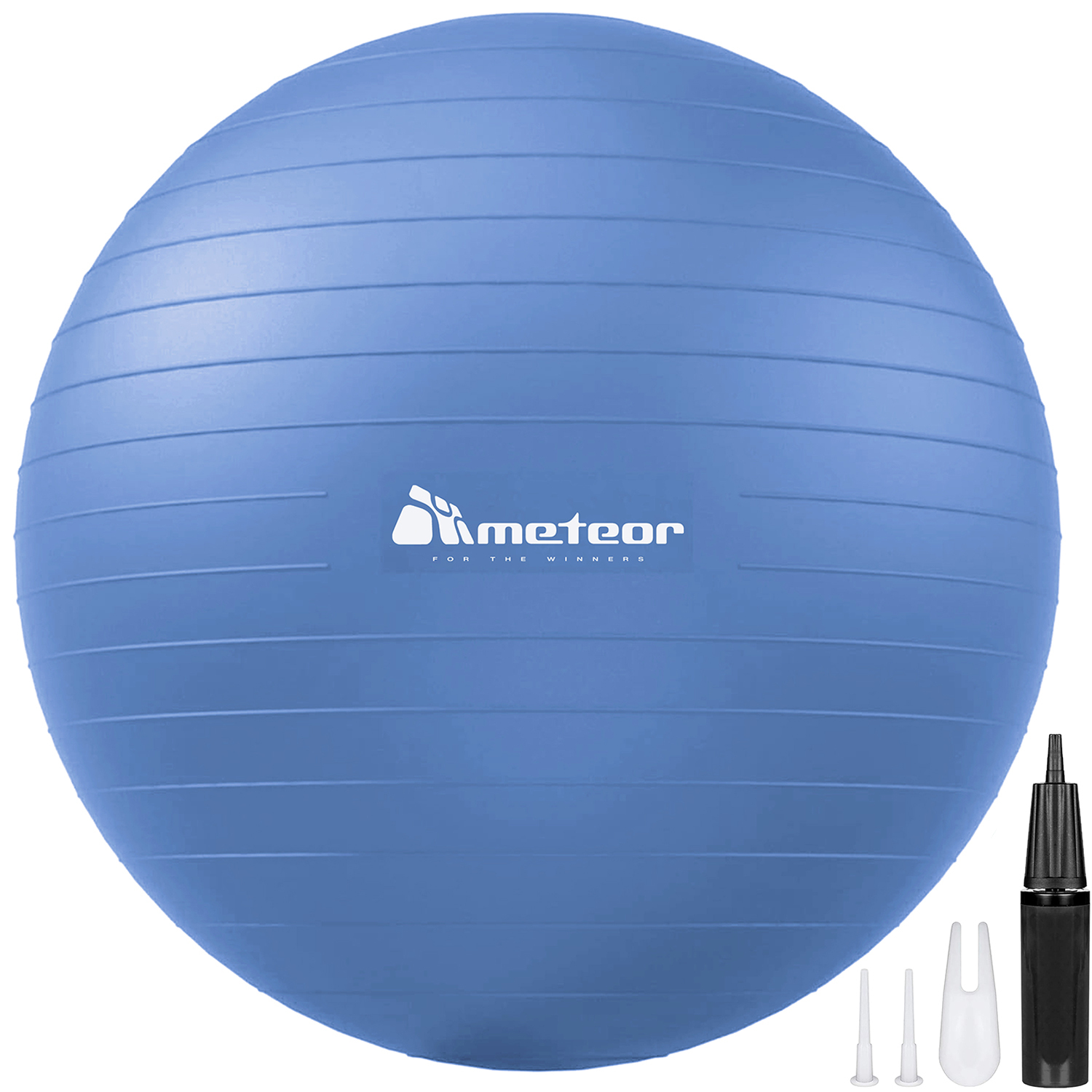 Swiss Ball Anti Rotation METEOR Anti-Burst Swiss Ball with Pump Yoga Pilates Rehab Gym Fit 55 65 ...
