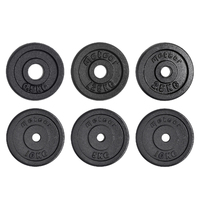 METEOR 25.4mm Standard Weight Plates Cast Iron Weightlifting Plate 