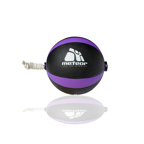8kg Essential Rubber Medicine Ball with Power Rope