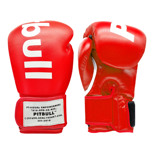 METEOR 10oz Artificial Leather Boxing Gloves