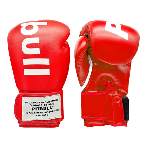 10oz Artificial Leather Boxing Gloves